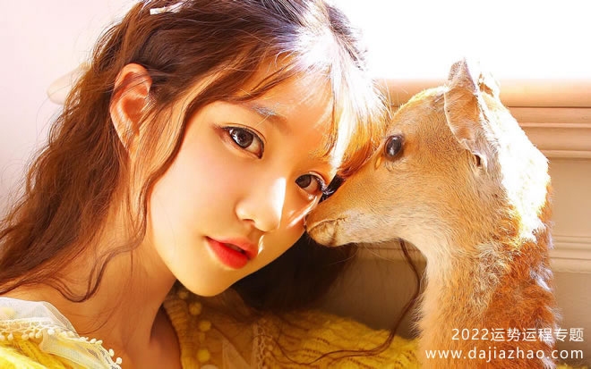 属羊人2022年全年运势详解插图