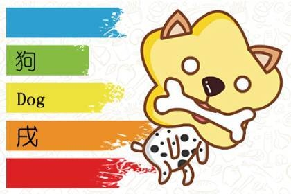 属狗人在2024年的运势与挑战,与生肖间的微妙关系解析插图 属狗人在2024年的运势与挑战,与生肖间的微妙关系解析插图