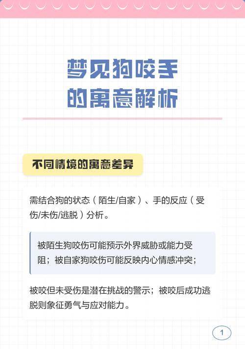 狗咬手寓意解读插图