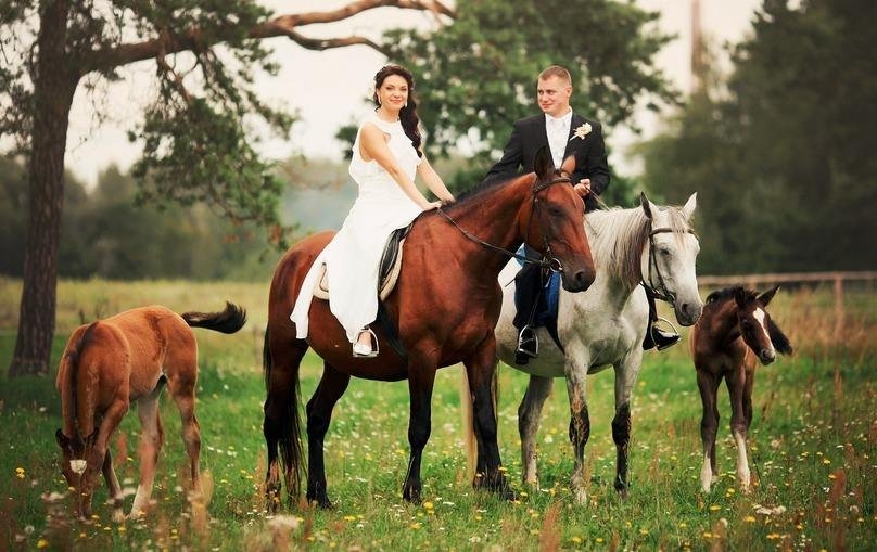 属鼠生肖忌讳解密,与马、羊、兔的婚配冲突及生育考量插图 属鼠生肖忌讳解密,与马、羊、兔的婚配冲突及生育考量插图
