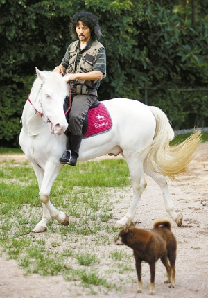 浪迹天涯生肖马插图