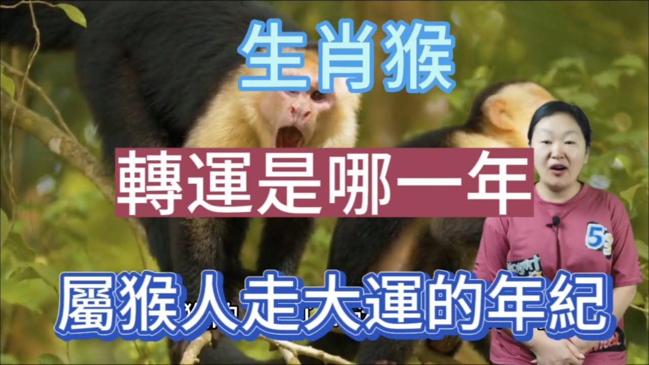 瞬息万变的生肖是猴龙，形容变化快速。插图