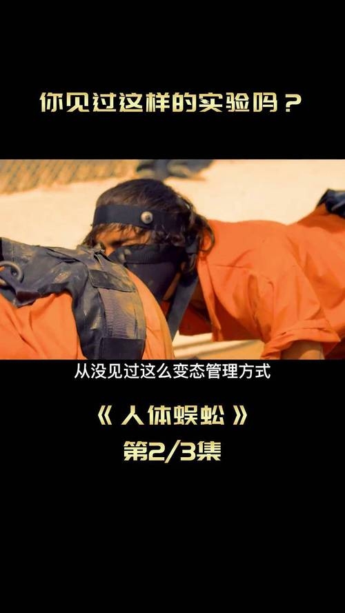 蜈蚣恋爱体与人体蜈蚣,概念解析与生存探索插图 蜈蚣恋爱体与人体蜈蚣,概念解析与生存探索插图