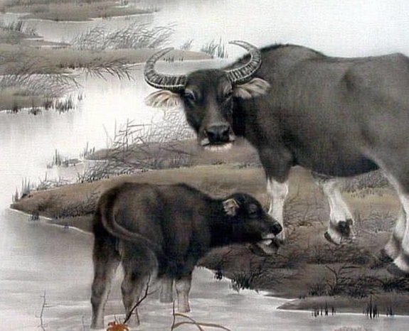 属相性格解析，鼠与牛的性格特点，生肖鼠机智敏锐，坦诚直率；而生肖牛黄道勤恳，脚踏实地。两者皆有独特魅力与个人特质。插图