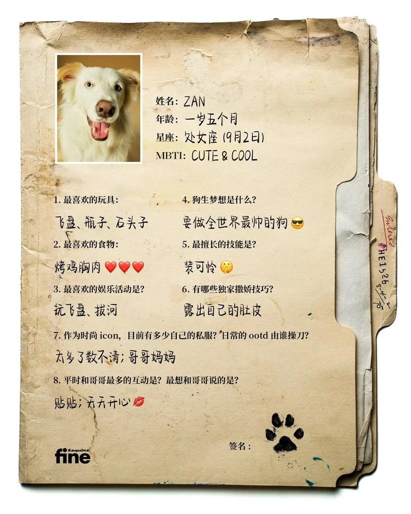 牧羊犬个性母名。插图