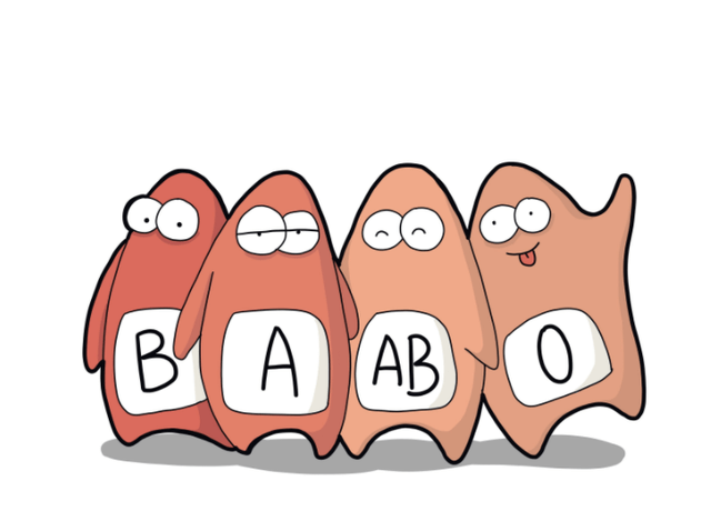 B型血女人的性格特点插图