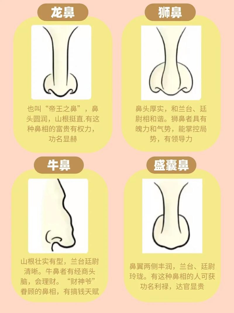 男性性能力与鼻子特征相关，女性性欲可通过面相判断建议，揭秘男女面性与性能力的神秘关联！插图