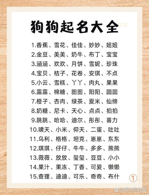 狗狗洋气名字大赏插图