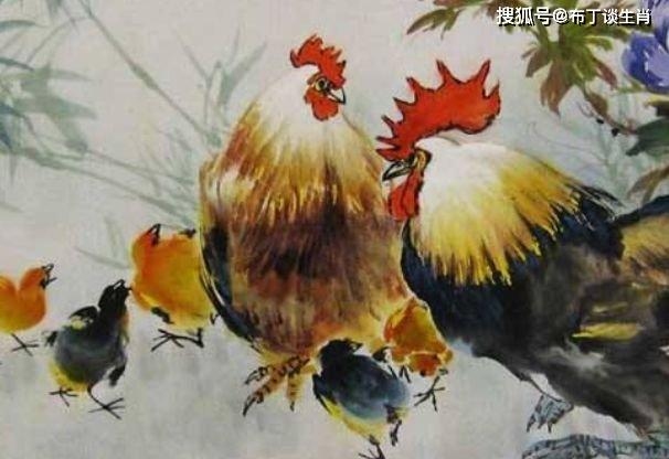 属鸡喜事缠身2023年指南插图