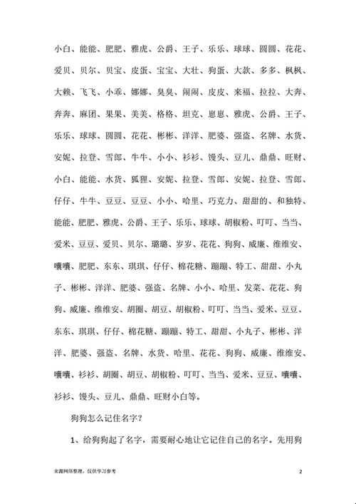 炫舞宠物名字精选集插图