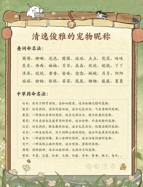 炫舞宠物命名灵感,优雅灵动、霸气侧漏,多种风格任你选,推荐名字列表,,霸天苍龙系列(结合霸天的强势与苍龙的神秘),唯吾逆天系列(表达逆天的决心和极致挑战的勇气)染血修罗系列(带有战斗气息)。疾风闪电系列。暗夜魅影等神秘气质的名字。菊花大侠等独特个性的名称。安小诺等可爱风格的宠名。来生的我娶你等充满决绝感的霸气宠名。更多精彩等你来发掘!插图 炫舞宠物命名灵感,优雅灵动、霸气侧漏,多种风格任你选,推荐名字列表,,霸天苍龙系列(结合霸天的强势与苍龙的神秘),唯吾逆天系列(表达逆天的决心和极致挑战的勇气)染血修罗系列(带有战斗气息)。疾风闪电系列。暗夜魅影等神秘气质的名字。菊花大侠等独特个性的名称。安小诺等可爱风格的宠名。来生的我娶你等充满决绝感的霸气宠名。更多精彩等你来发掘!插图