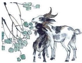 1979年属土羊命。插图