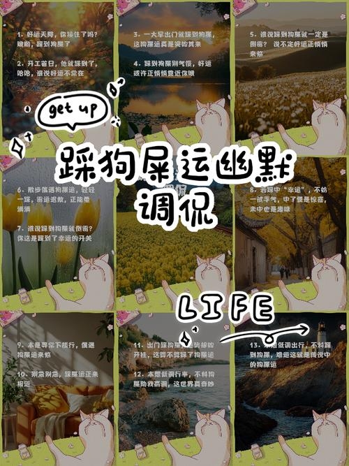 踩狗屎,好运还是坏运?插图 踩狗屎,好运还是坏运?插图