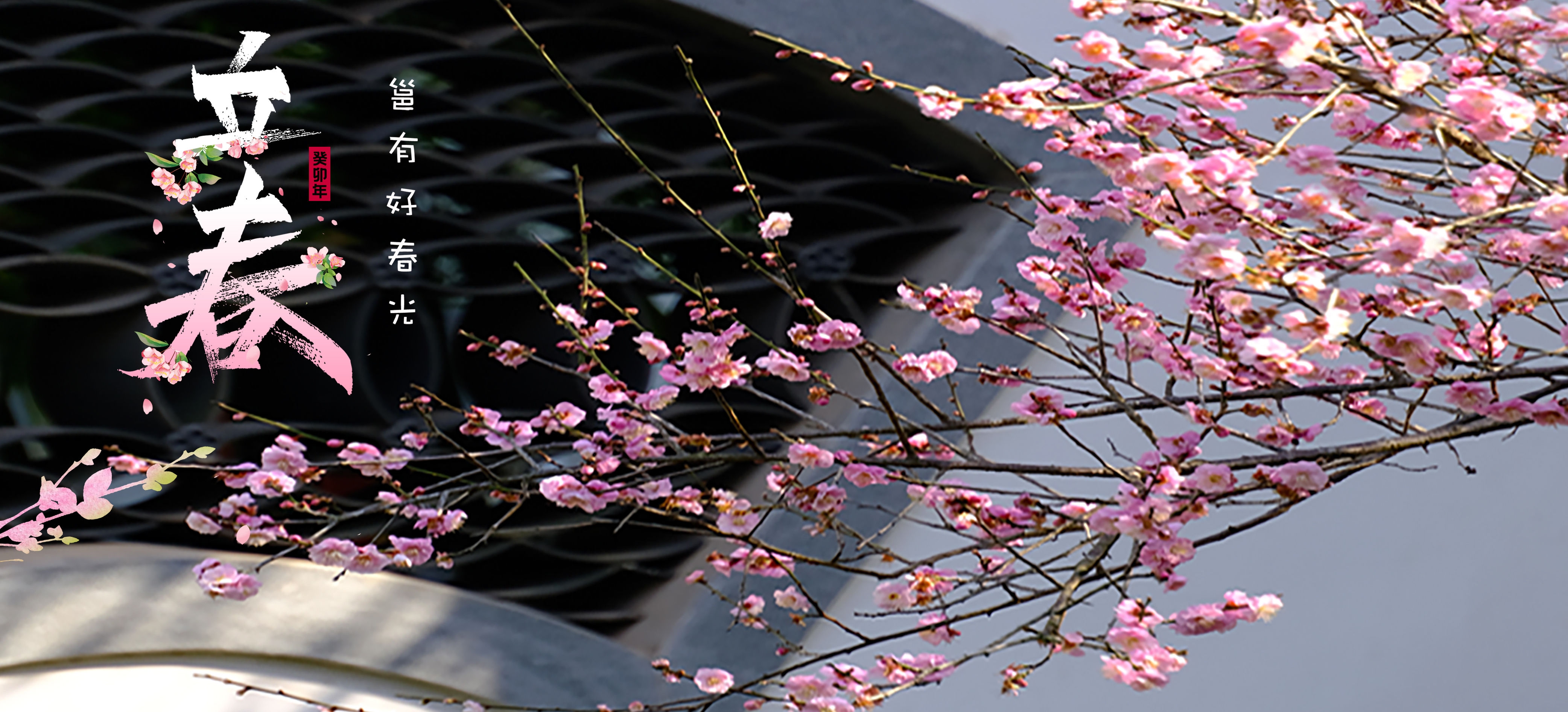 2023年立春时刻揭晓，气温回暖迎春风插图