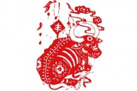 2023年属牛运势解析插图