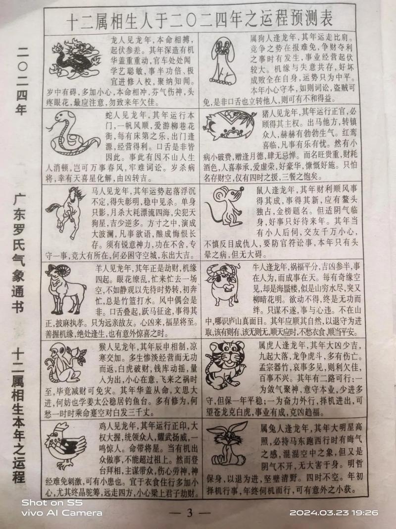 2024年需关注披麻戴孝生肖的预测插图