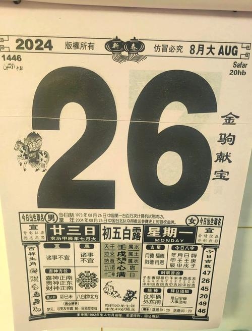 2024年属龙人穿衣指南插图
