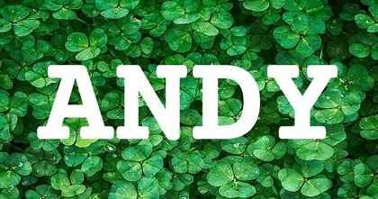 Andy的中文含义及发音指南，关于英文名字Andy的详细解读与音译介绍插图