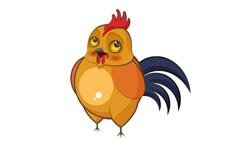 1981年属鸡，金鸡之命与五行解析插图