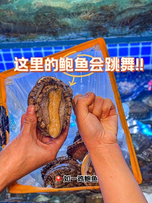 鲍鱼2023地域网名精选插图