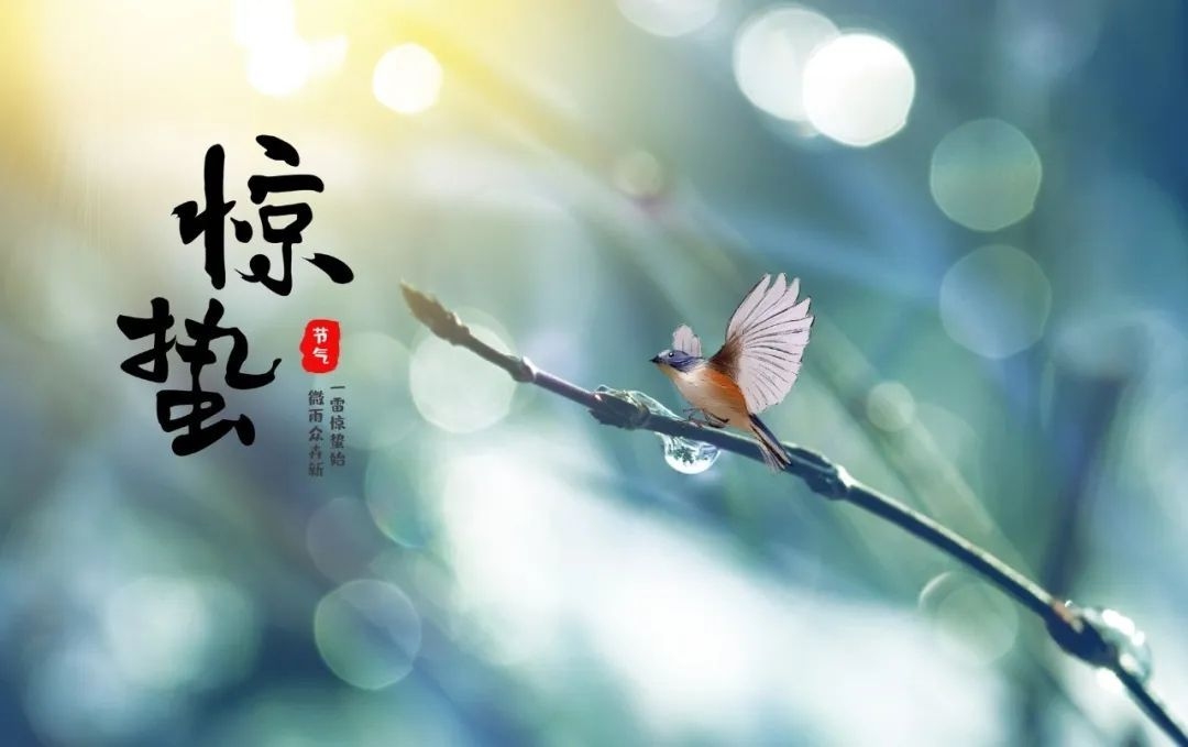 2022年惊蛰节气时间解析插图