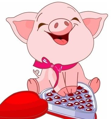 2013年属猪人运势解析插图