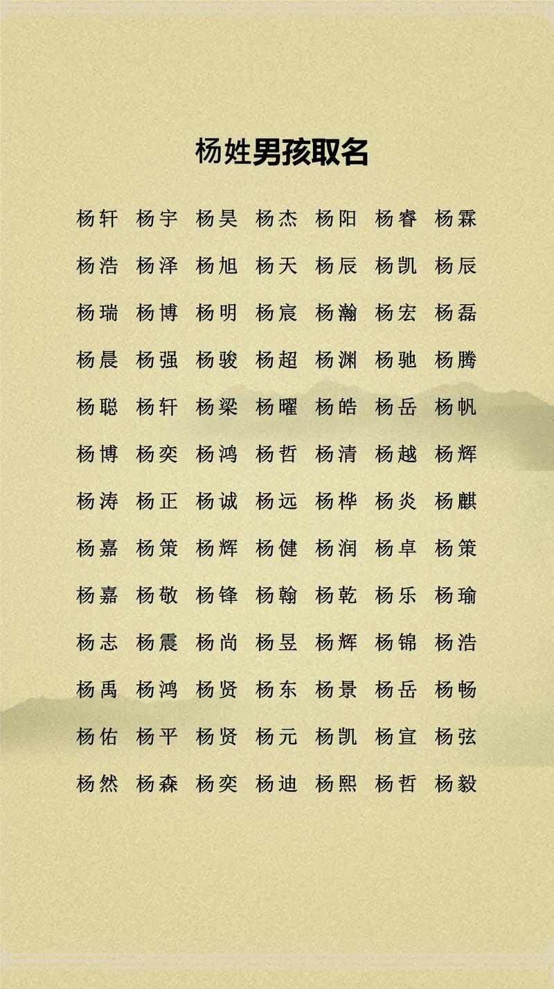 杨姓男孩名字大全及寓意,璀璨珍宝、胸怀宽广的男孩名探索插图 杨姓男孩名字大全及寓意,璀璨珍宝、胸怀宽广的男孩名探索插图