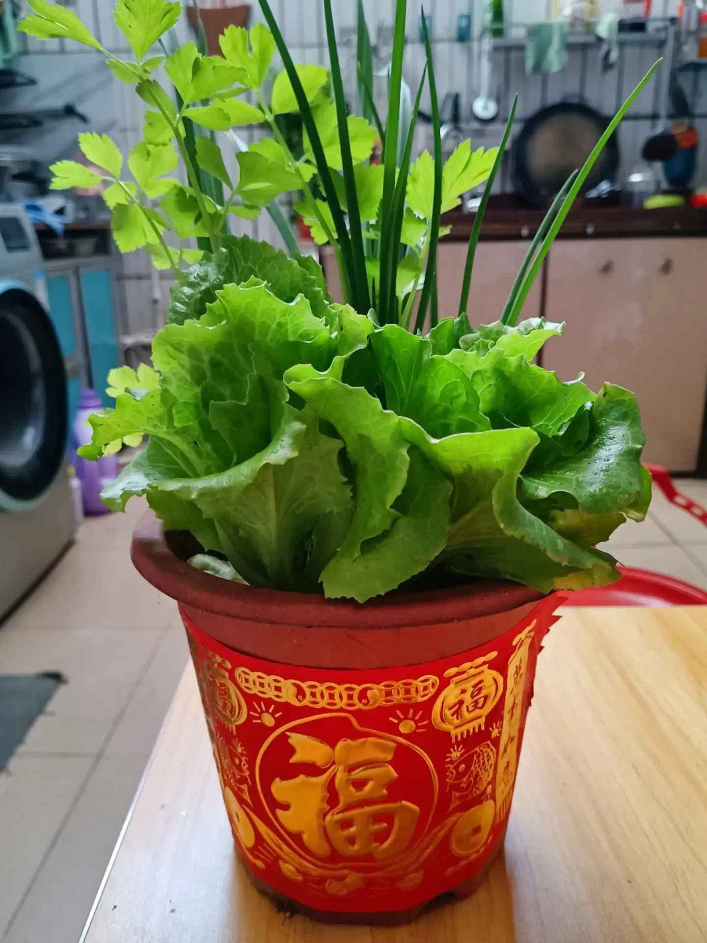 Romaine叶英文名及寓意插图