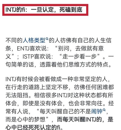 FION的多元含义解析插图