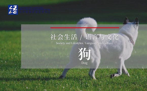 鸡犬相邻指的是生肖狗。在中国传统文化中，成语鸡犬相闻形容的是邻里之间关系非常亲近和紧密，常用来比喻邻里和谐融洽。而在十二生肖的顺序中，狗排在第十一位紧随其后，因此答案是生肖狗。插图