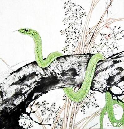 2022年属鼠运势概览，生肖蛇事业运旺盛，属猪财运亨通插图