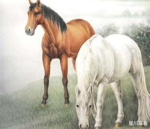 1942年属马年份生肖命理插图