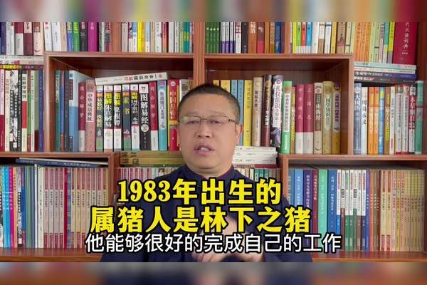 1983年属猪，水命猪的五行与命运解析插图