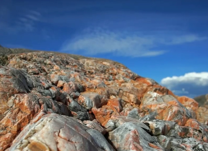 1981年属鸡，金鸡之命。石榴木命者性格坚毅，五行中金为主且可能缺水。金鸡之人目标清晰、逻辑冷静，面对困境不屈不挠。插图