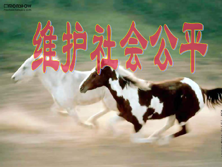 苍蝇碰壁猜生肖，解析鸡、羊与马，或是狗和牛？数字九或寓意深刻。插图