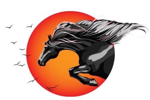 2014年属马人的金马命运与性格特征插图