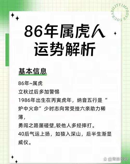 1986年属虎丙寅年出生者的五行属性与命理解析插图