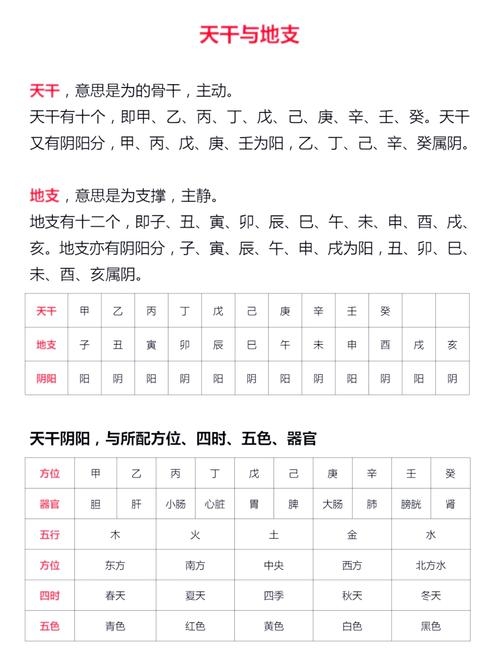 揭秘2023年兔年的奥秘，天干地支与五行解析插图