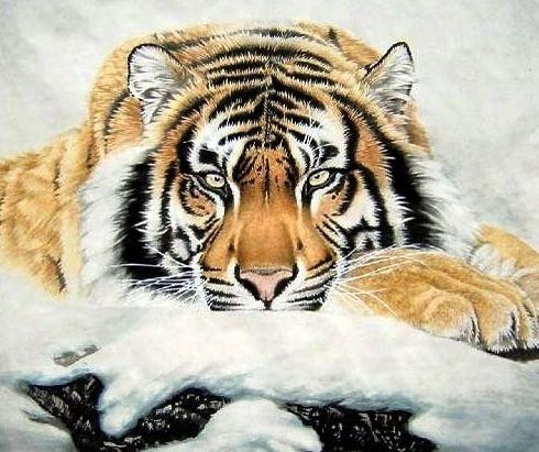 1926年属虎生肖。插图