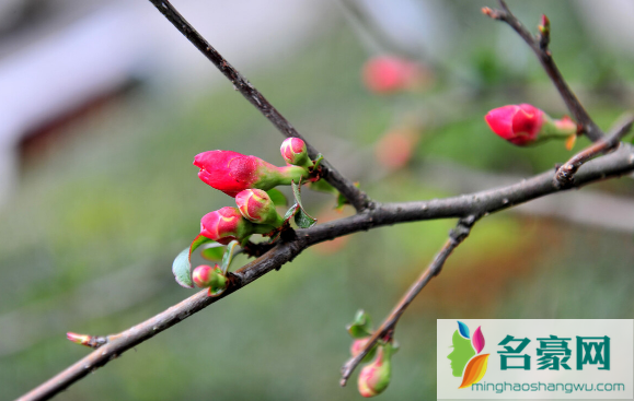 2023年立春躲春注意事项插图