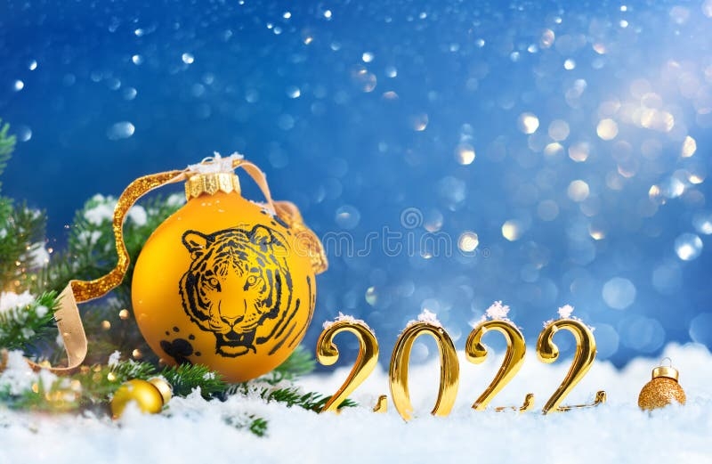 2022年是虎年插图