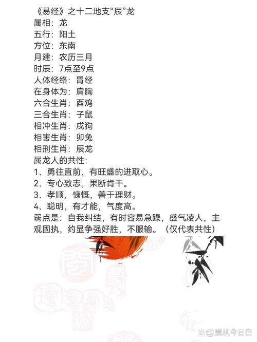 揭秘2012龙年五行属性及运势特点插图