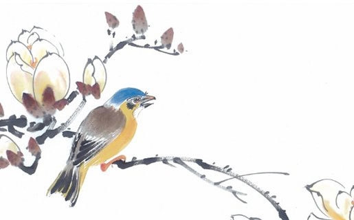 1997年属牛女婚配指南插图