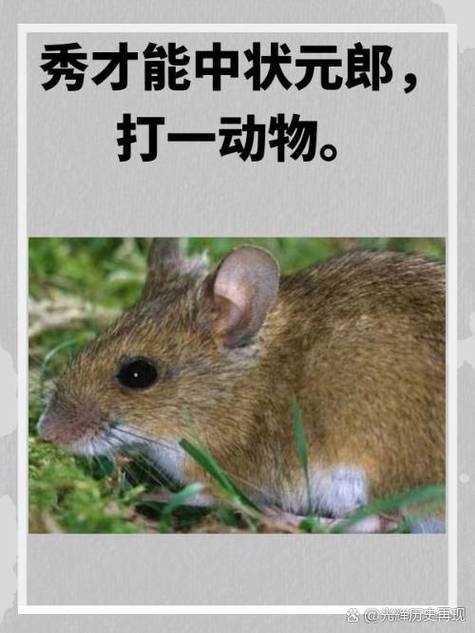 卑躬屈膝打一动物,答案揭晓,羊/狗/袋鼠成谜!插图 卑躬屈膝打一动物,答案揭晓,羊/狗/袋鼠成谜!插图