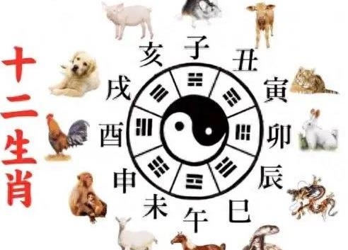 2024年十二生肖鼠运程解析插图