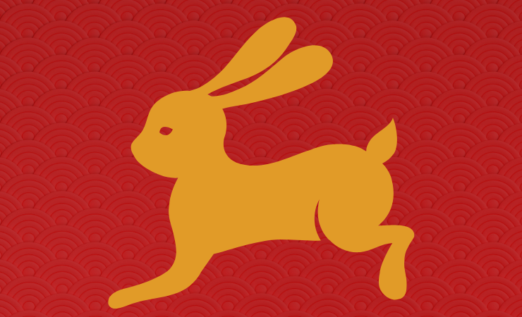 2023兔年运势高峰标题建议，2023，属兔人的机遇之年。插图