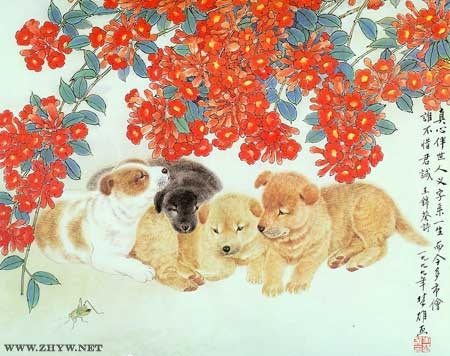 1982年属狗人2013年运程展望插图