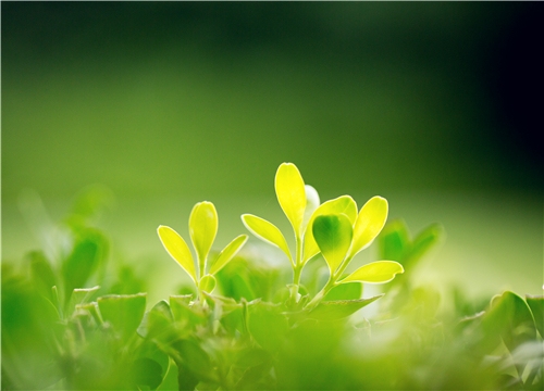 2019年立春的准确时刻插图