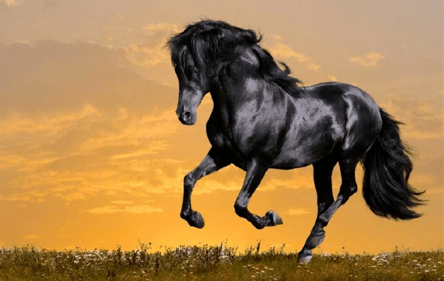 2024年属马者需谨慎防范的一个人物类型插图