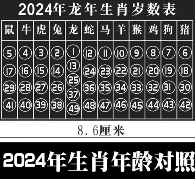 2024生肖49码表揭秘插图